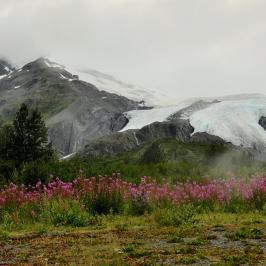 alaskan mountains
