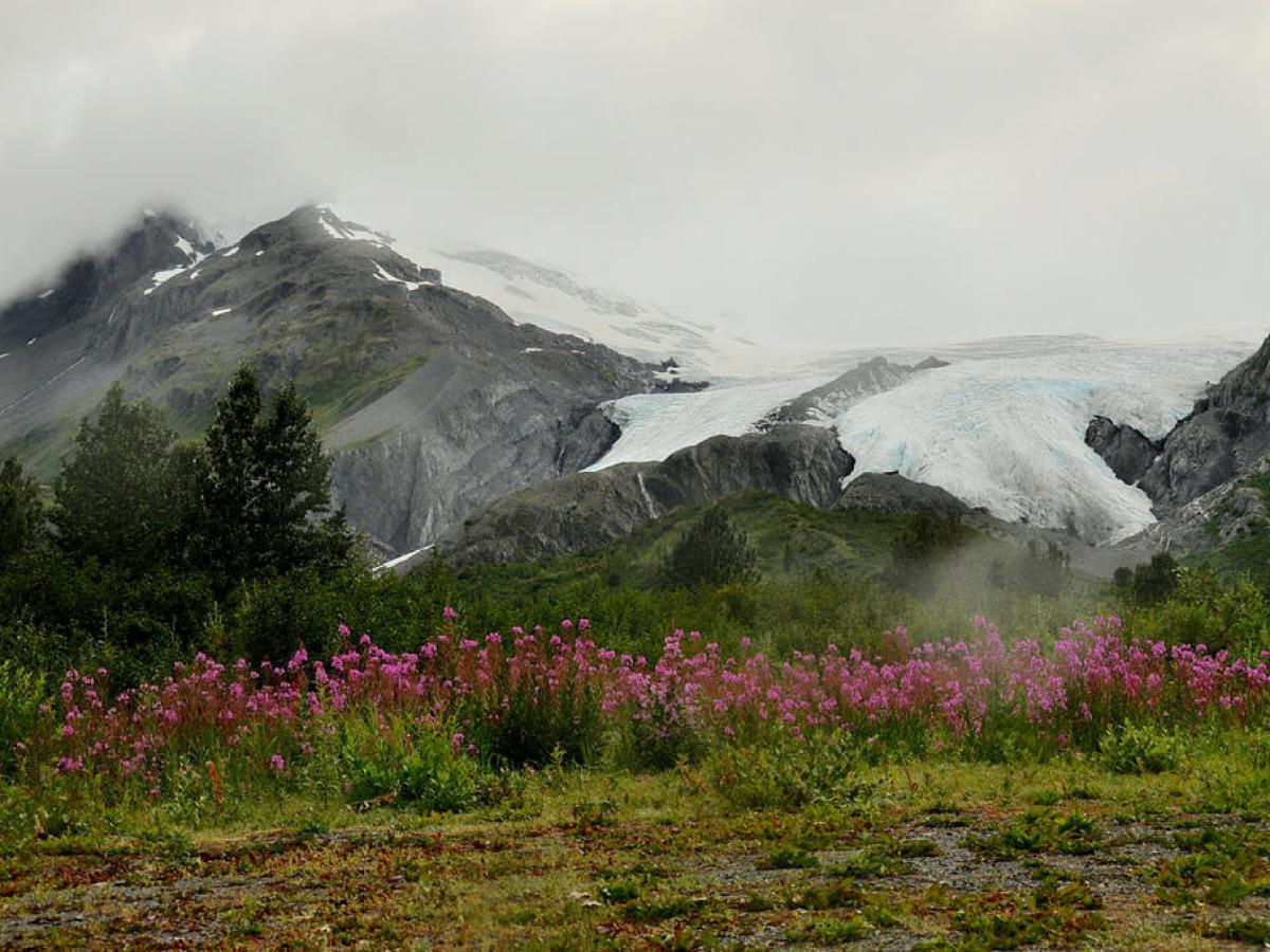 alaskan mountains