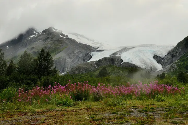 alaskan mountains
