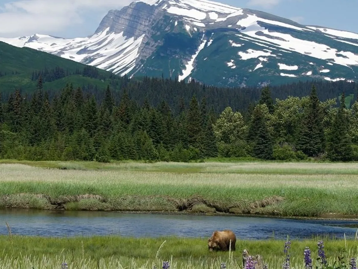 Mineral Creek landscape